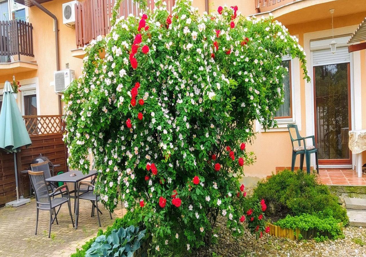 Hellasz Apartman Gyula Exterior photo